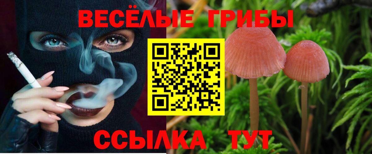 Псилоцибиновые грибы ЛСД Сатка